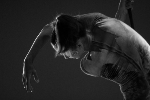  - Flying Dreams