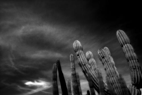  - Portfolio 1