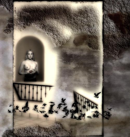  - Portfolio 1