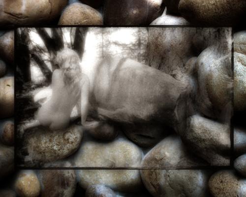  - Portfolio 1