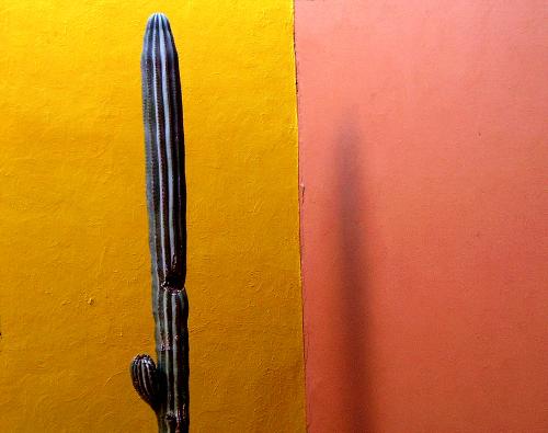  - Portfolio 1