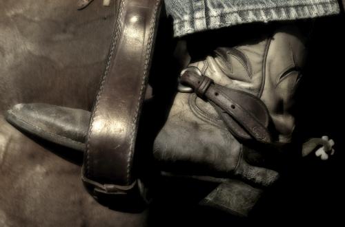  - Portfolio 1