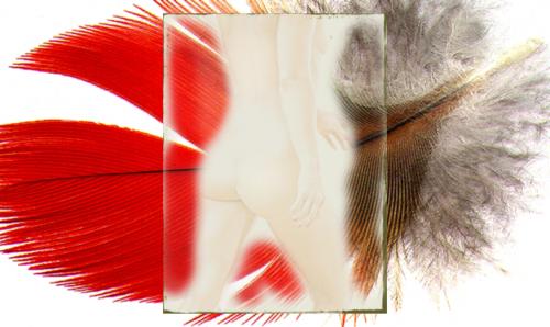  - Portfolio 1
