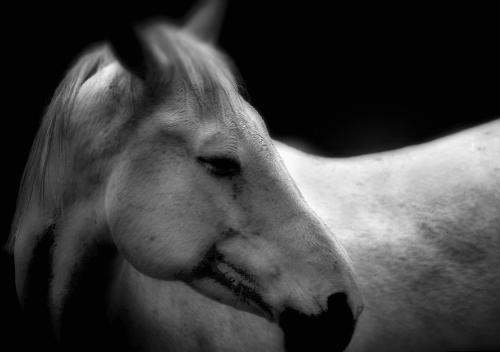  - Portfolio 1