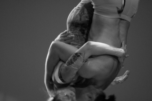  - Flying Dreams