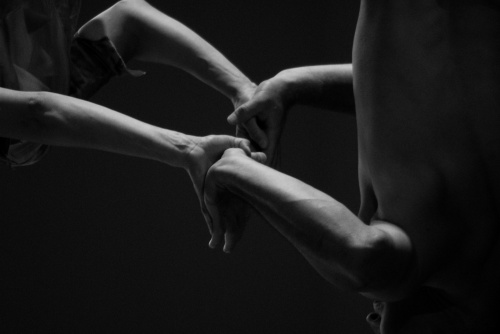  - Flying Dreams