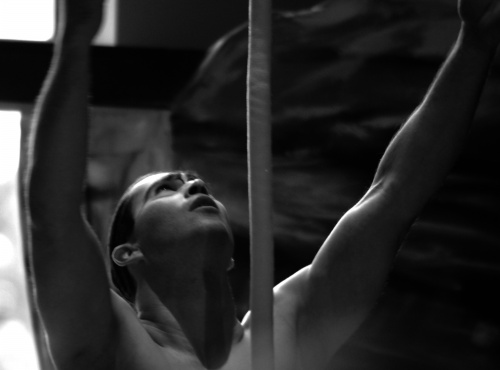  - Flying Dreams