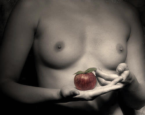  - Portfolio 1