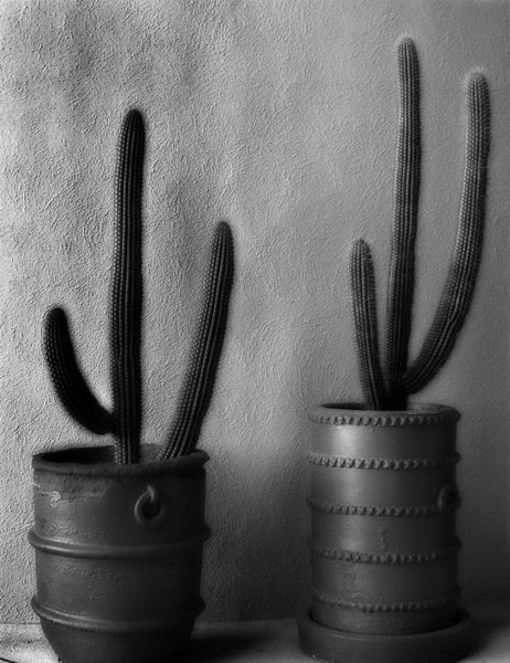  - Portfolio 1