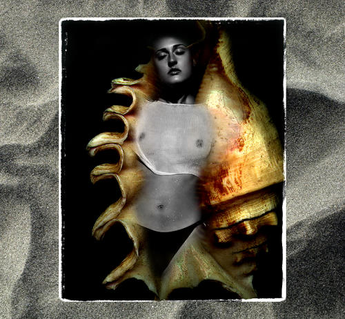  - Portfolio 1