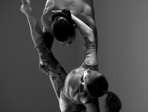  - Flying Dreams