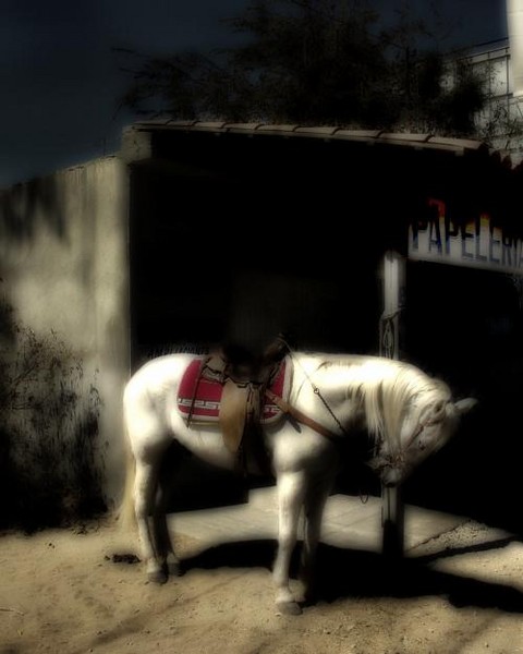  - Portfolio 1