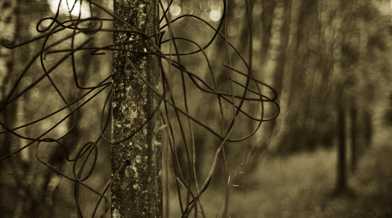  - The Boundary