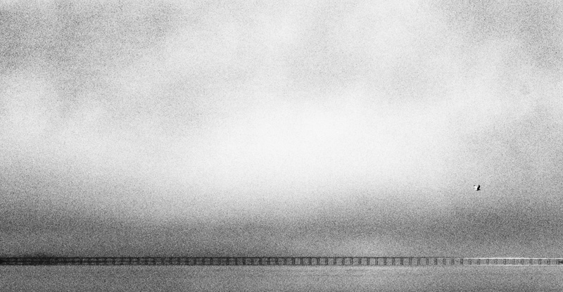 The Autumnal Sadness - Under the sky
