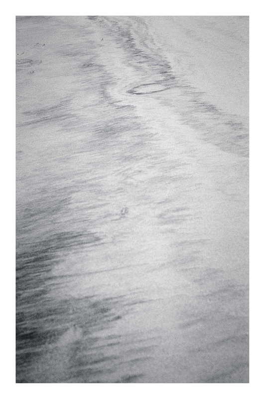 Deaf Memories of Metaphysical Elegance - Losgaintir