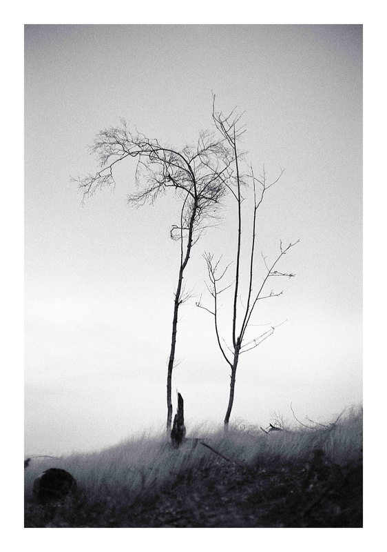  - Under the sky