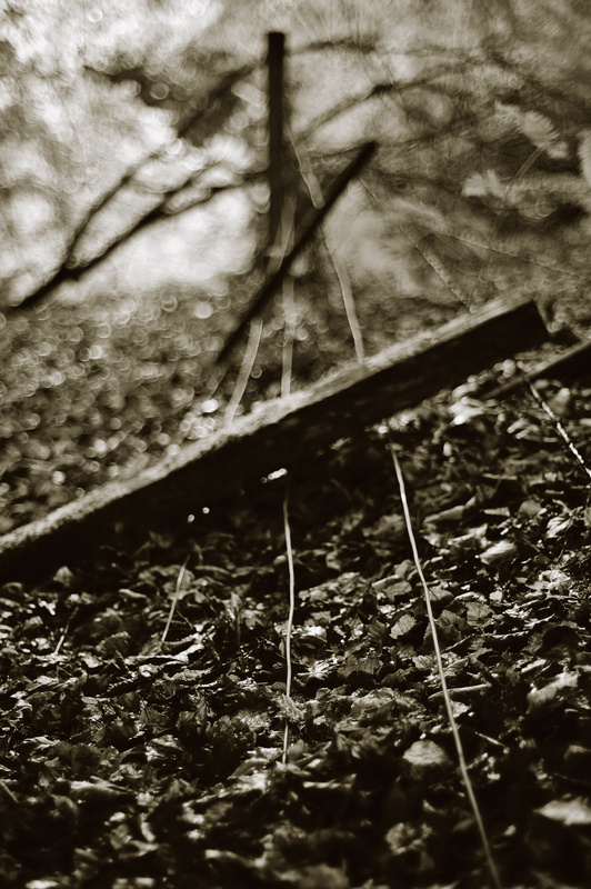 Intimate Landscape with Degenerated Formation - The Boundary
