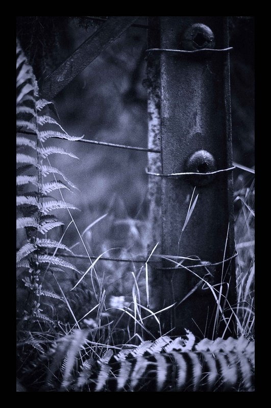  - Wood
