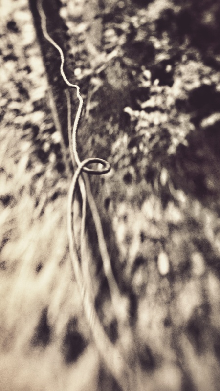 Wire 3 - The Boundary