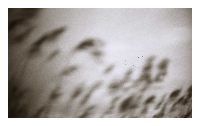  - Under the sky