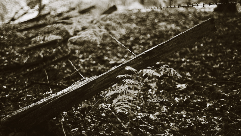 The Meditation of Innocence - The Boundary