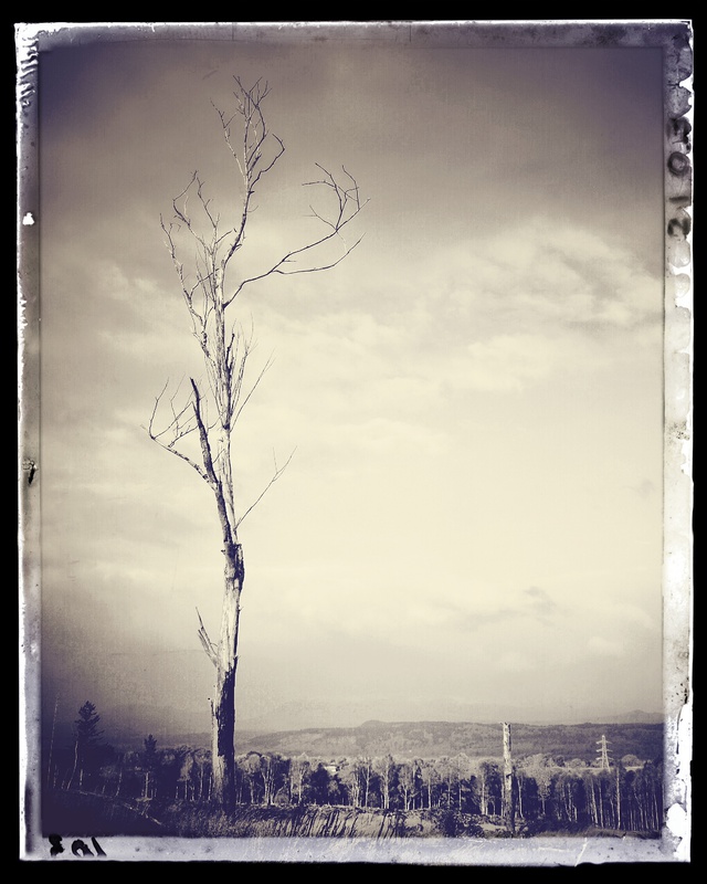 Deconstructed - Under the sky