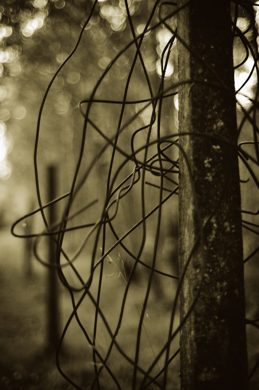  - The Boundary