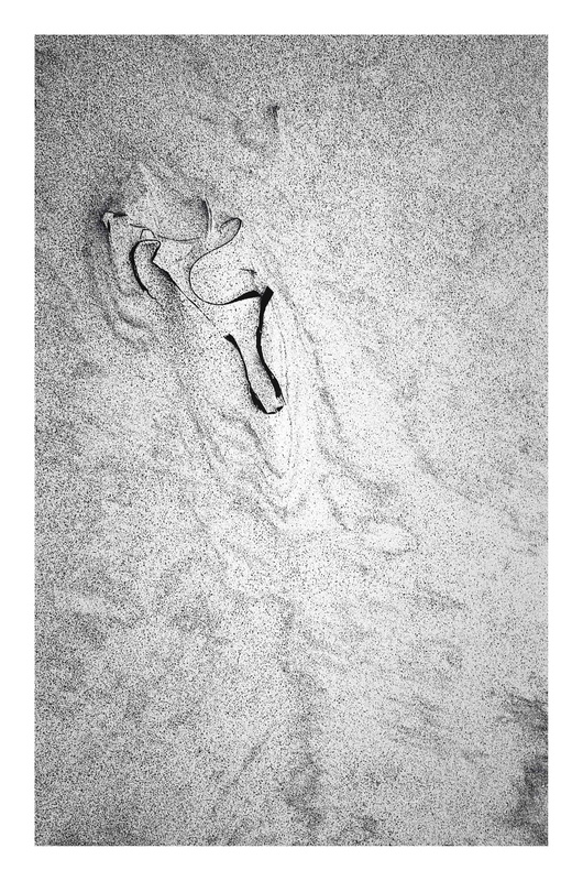 Fragment of Charming Poetry - Losgaintir