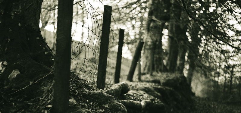 Literature of Love in Retrospect - The Boundary