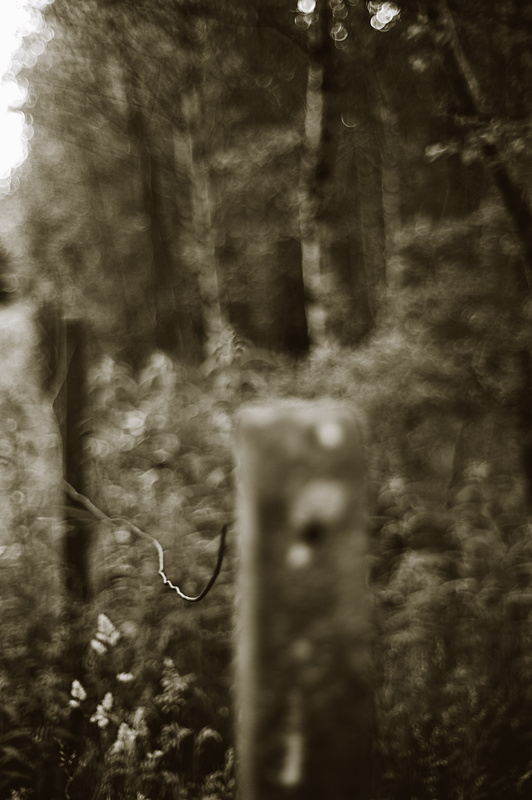 The Fence - The Boundary