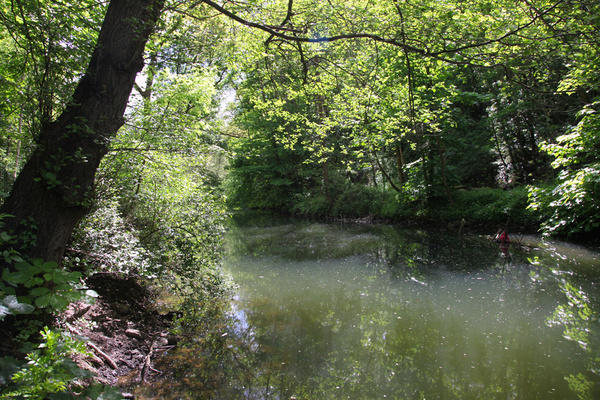 River Frome _B0217 - Bristol Landscape Photography