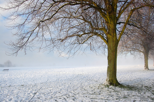 Bristol landscape_Cold snap Clifton Downs _B0163_Ian Wade - Bristol Landscape Photography