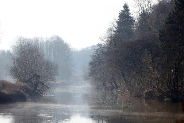River Frome misty mornng  B0189 - Bristol Landscape Photography