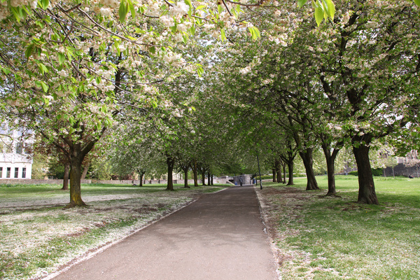 Bristol landscape_Castle Green, Bristol _B0215_Ian Wade - Bristol Landscape Photography
