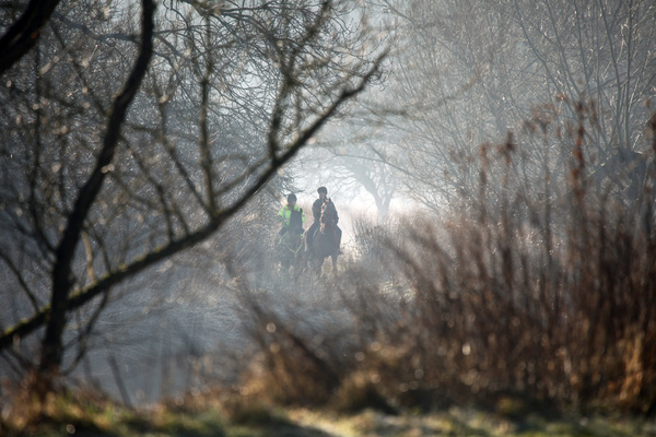 River Frome misty mornng  B0190 - Bristol Landscape Photography