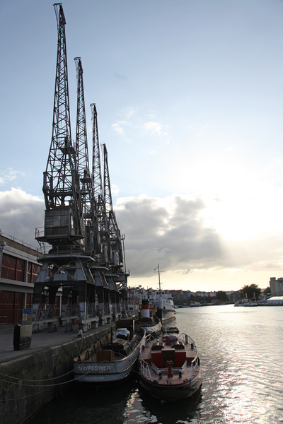 Bristol landscape_Bristol Cranes_B0200_Ian Wade - Bristol Landscape Photography