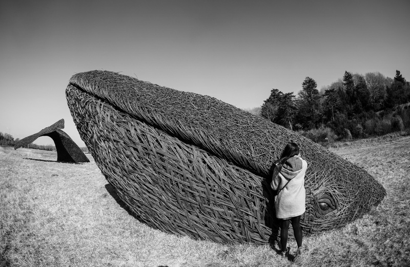 Wicker Whale, Bristol_WW002 - Bristol Landscape Photography