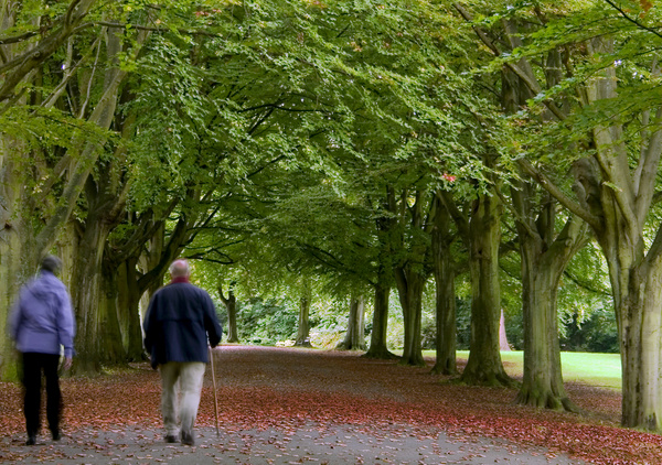 Clifton Walkers _B065 - Bristol Landscape Photography