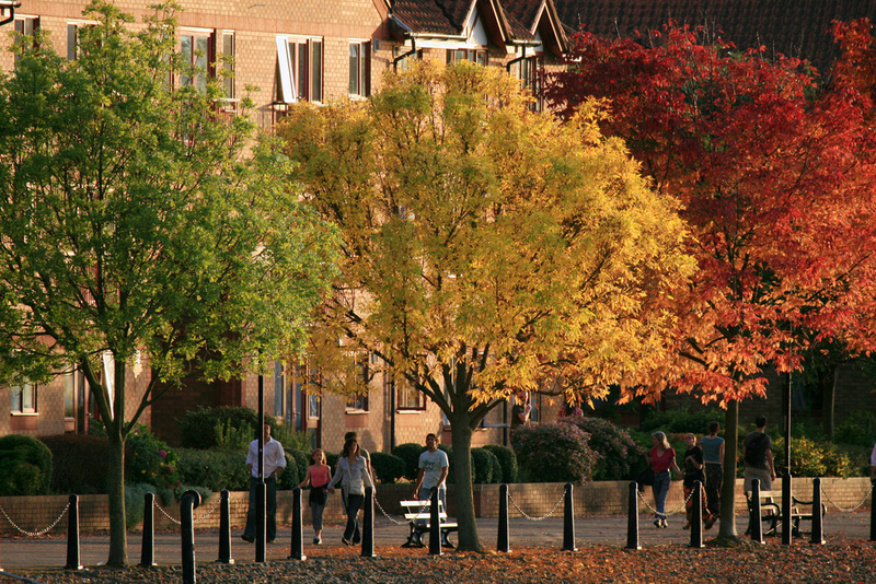 Bristol Hotwells in autumn, Bristol_ 0125 - Bristol Landscape Photography