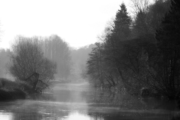 River Frome misty mornng  B0188 - Bristol Landscape Photography