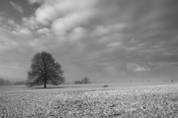 Cold snap Clifton Downs _B0164 - Bristol Landscape Photography