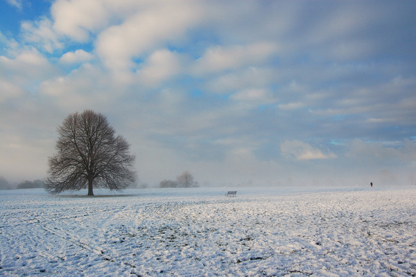 Cold snap Clifton Downs _B0168 - Bristol Landscape Photography
