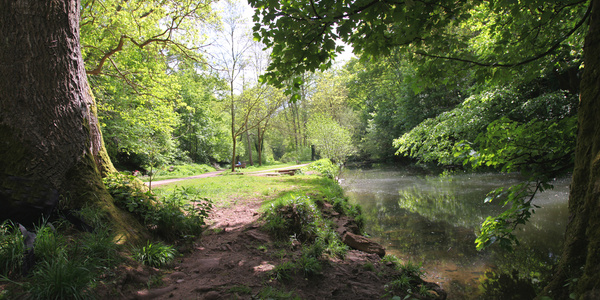 Bristol landscape_River Frome _B0224_Ian Wade - Bristol Landscape Photography