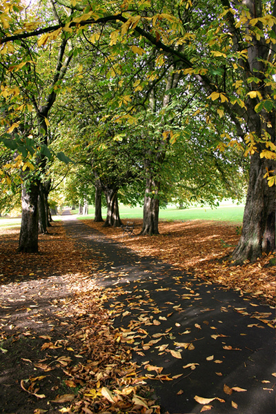 Authum in Fishponds _B083 - Bristol Landscape Photography