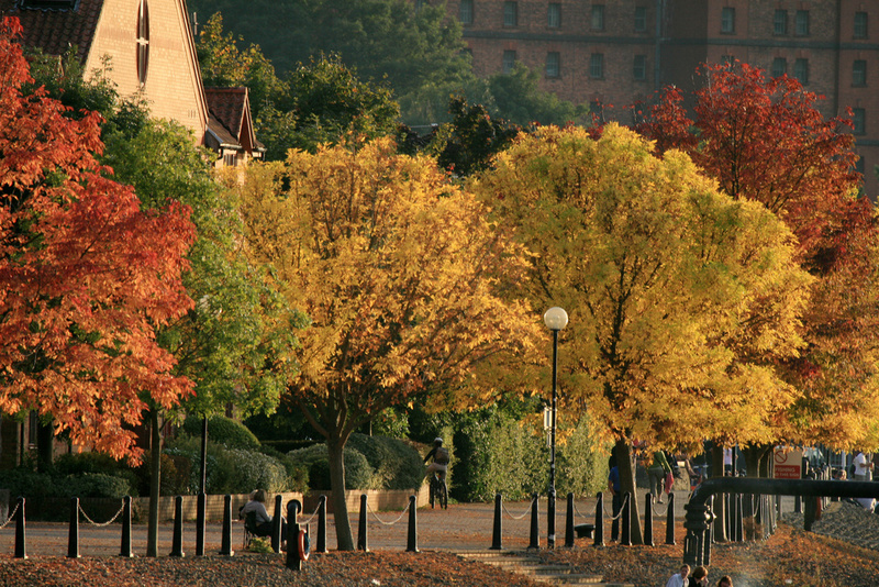 Bristol Hotwells in autumn, Bristol_ 0129 - Bristol Landscape Photography