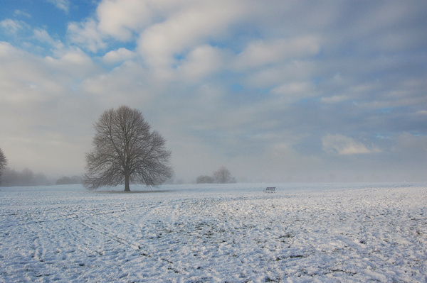 Cold snap Clifton Downs _B0167 - Bristol Landscape Photography