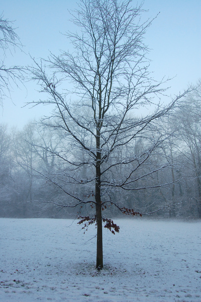 Clifton in snow_B0155 - Bristol Landscape Photography