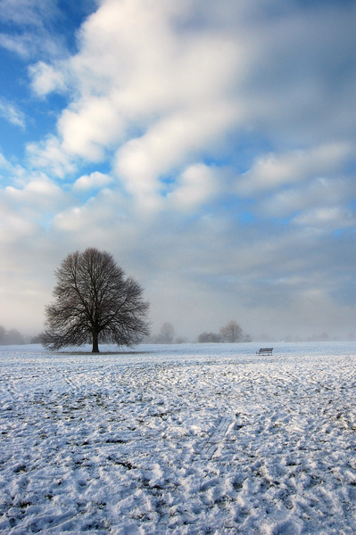 Bristol landscape_Clifton Downs in snow _B0170_Ian Wade - Bristol Landscape Photography