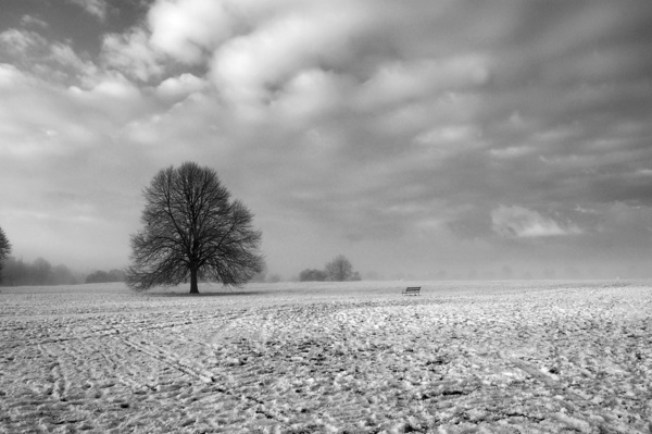 Bristol landscape_Cold snap Clifton Downs _B0166_Ian Wade - Bristol Landscape Photography