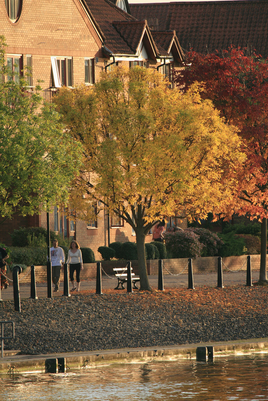 Bristol Hotwells in autumn, Bristol_ 0132 - Bristol Landscape Photography
